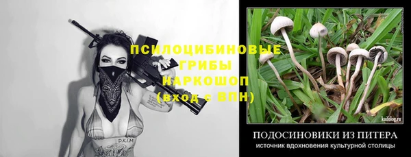 крисы Алзамай