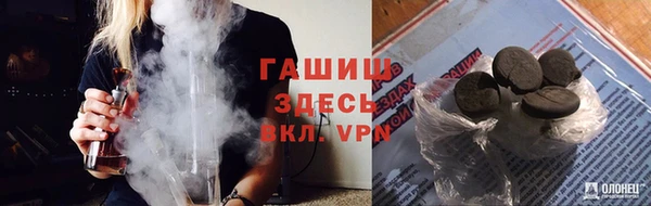 крисы Алзамай