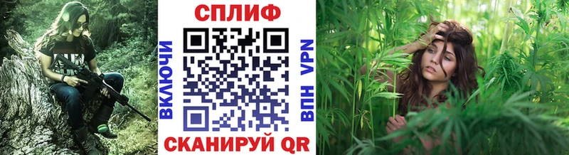 Шишки марихуана Amnesia  продажа наркотиков  Лиски 